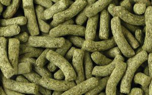 monocomponente voeding, joke pottie, gistel, dierenarts, pellets